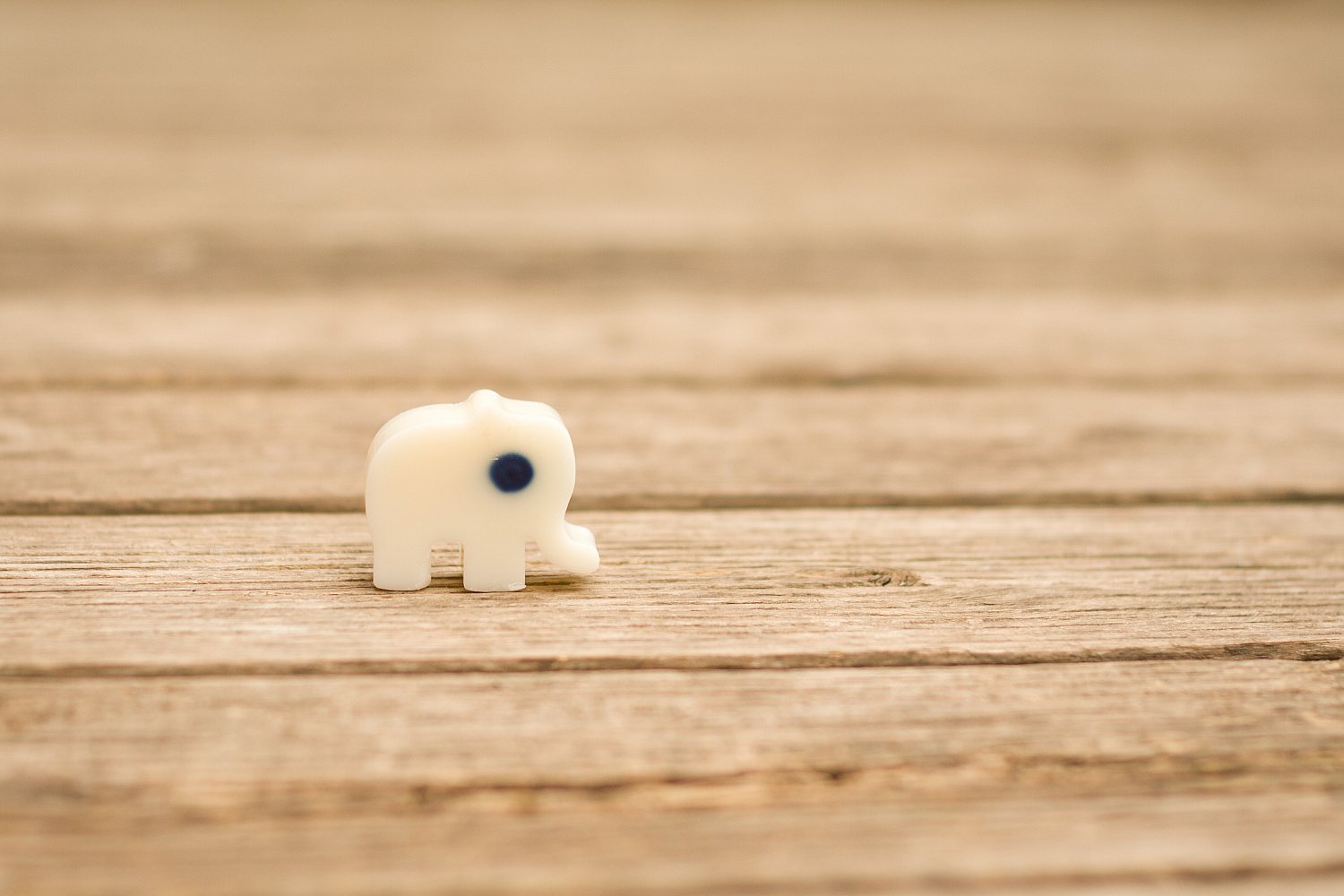 Single Tart  | Coco_Loco_Single.jpg