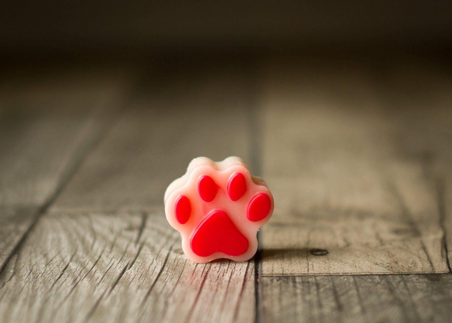 Seasonal Single Melts | 72660059_2604511006303916_4379468986547437568_n.jpg