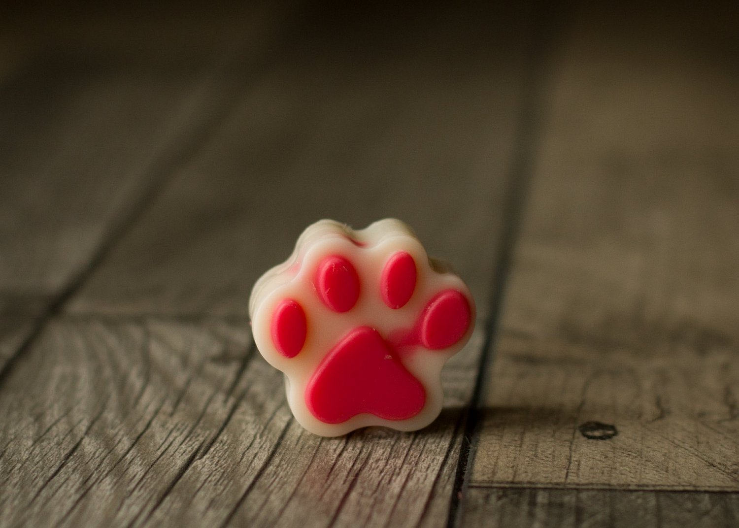 Seasonal Single Melts | 75266095_683695348789704_4211596912723230720_n.jpg